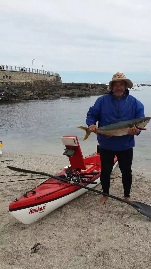 Moegsien .... Nice yellowtail