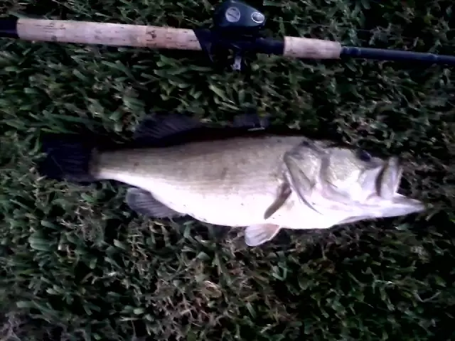 And Another