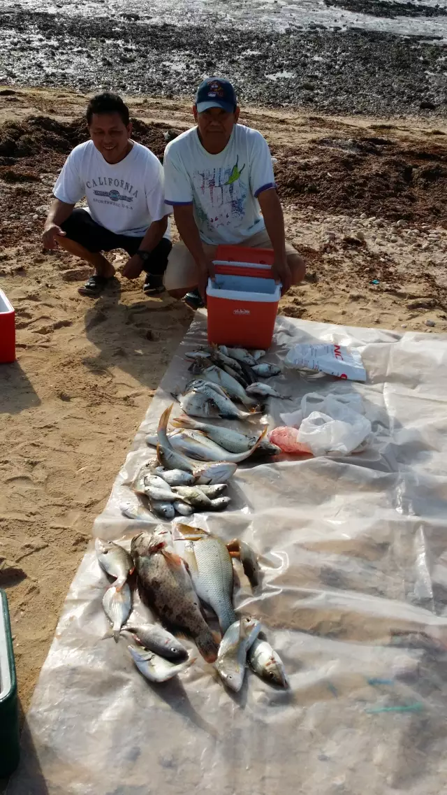 early morning catch in Thakira,Qatar