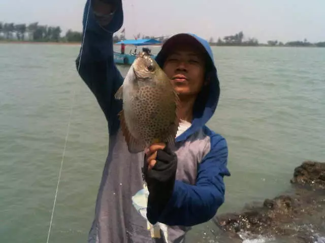 Karang Maheso, Ujung Negoro Tulis, Batang