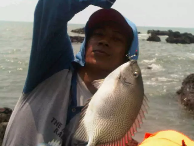 Karang Maheso, Ujung Negoro Tulis, Batang