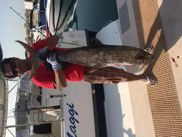 Big king fish Dubai