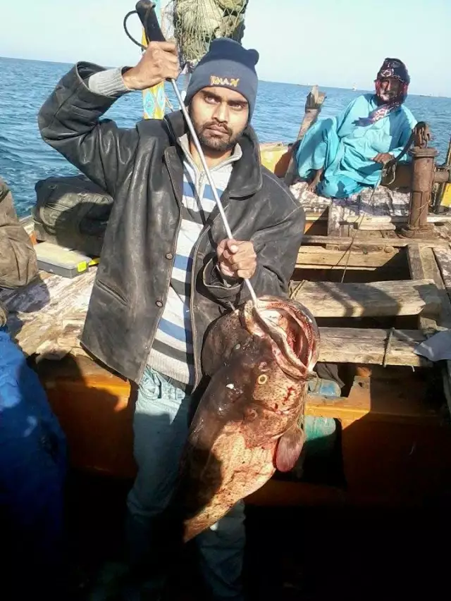 Owais Siddiqui