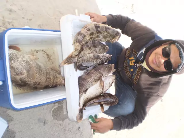 MARINA MALL BREAKWATER FISHING 01JAN2015