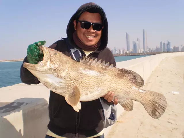 MARINA MALL BREAKWATER FISHING 01JAN2015