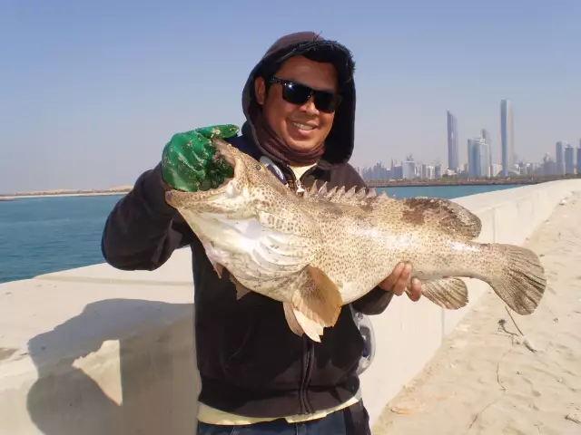 MARINA MALL BREAKWATER FISHING 01JAN2015