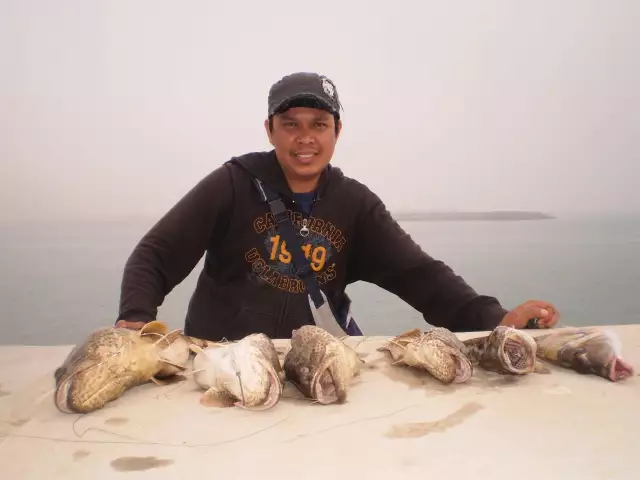 MARINA MALL BREAKWATER FISHING 03JAN2015