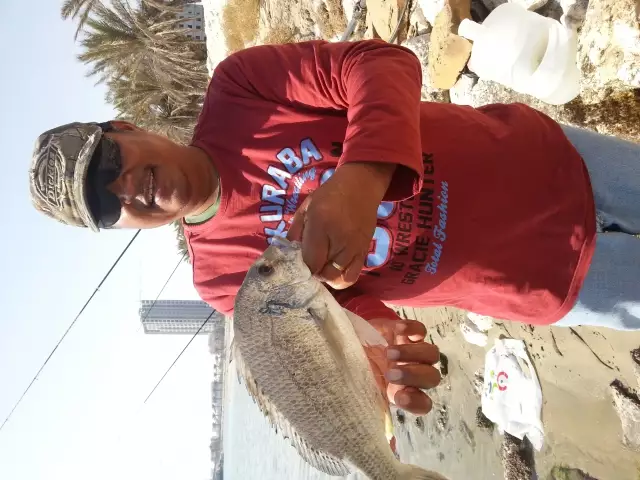 Fishing at five finger near bharain bridge in Al khobar