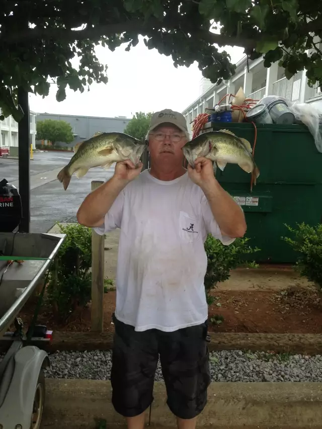 wheeler lake