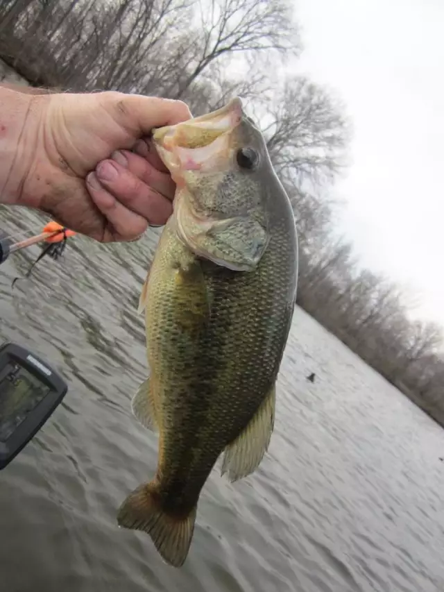 Third Bass of the season vis Kayak