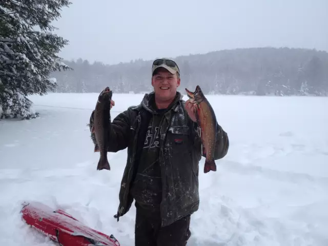 Winter brookies
