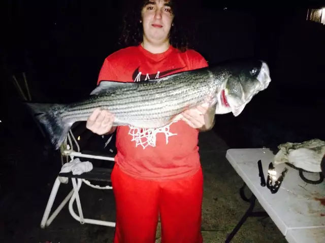 Striper Sacramento river