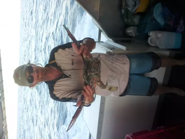nice sand crab