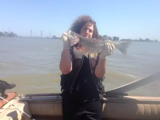 23 inch