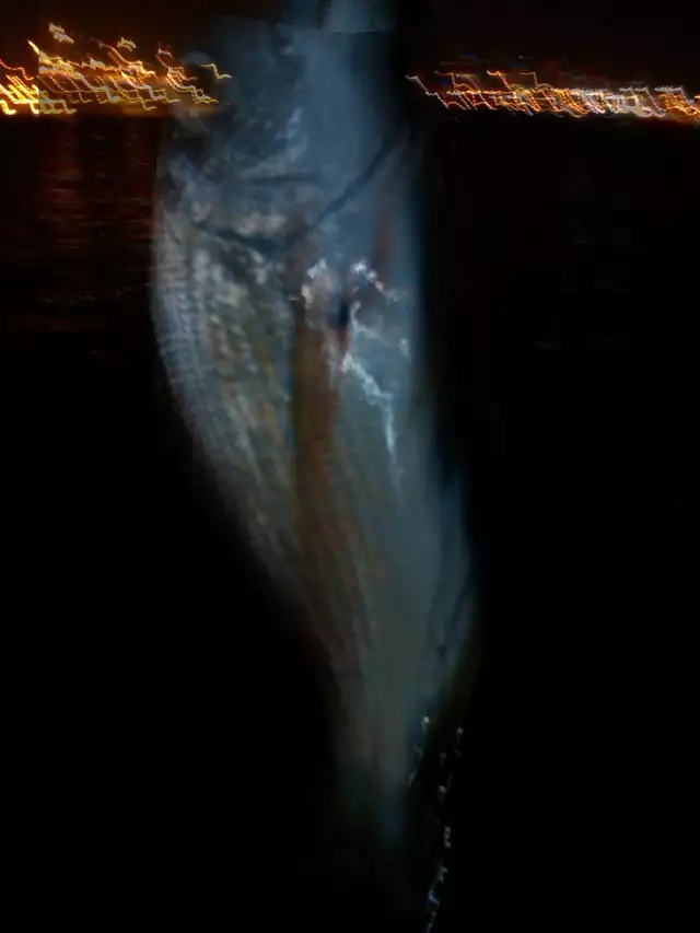 night fishing2
