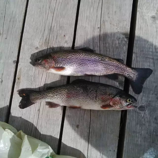 first catch of the season
