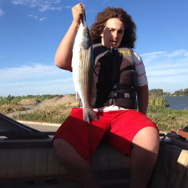 Harley 23 inch striper again