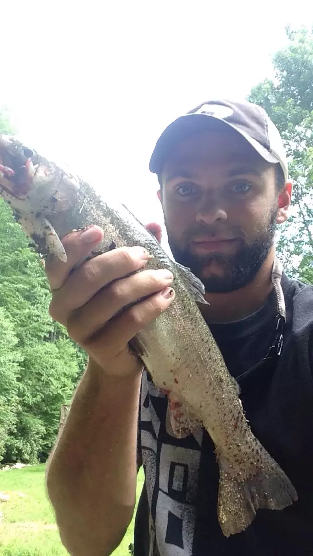 17" rainbow trout!