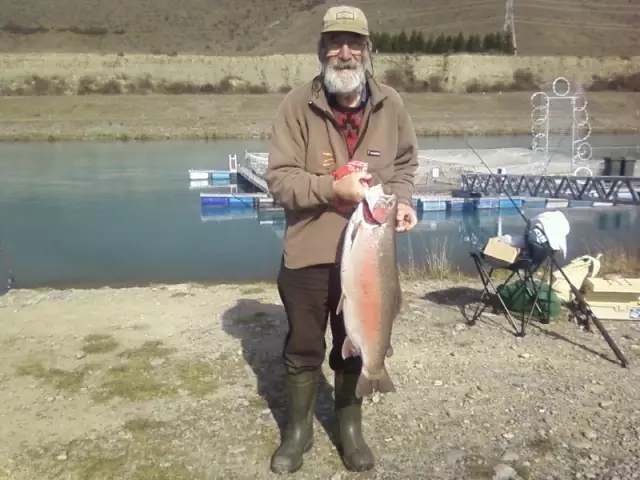 Twizel canal 19lb rainbow