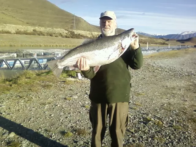 Fraction umder 28Lb rainbow from Twizel