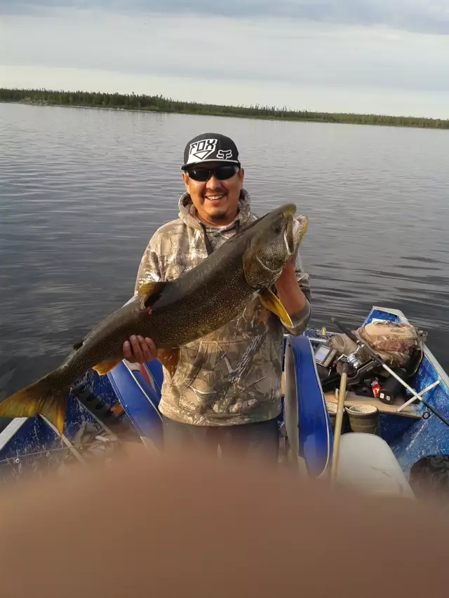lake trout