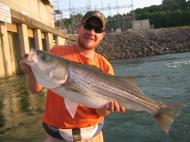 Melton Hill Dam