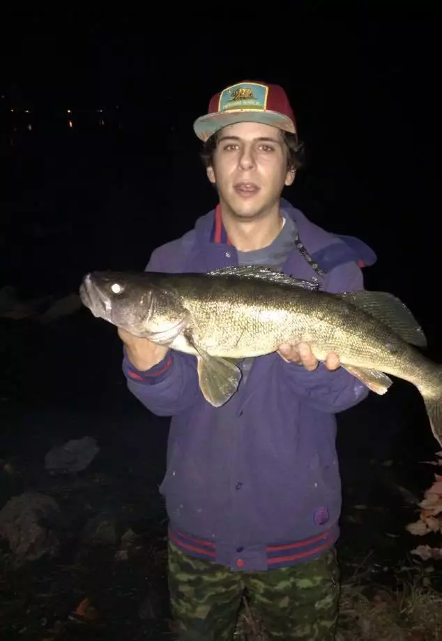 Walleye