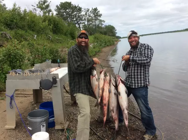 King Salmon Fishing in Alaska