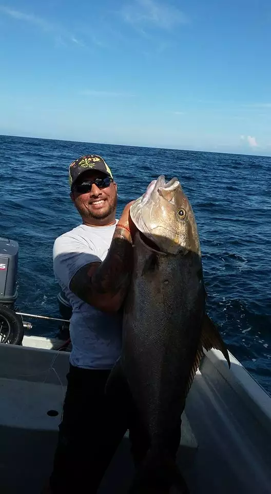 40lb Amber Jack