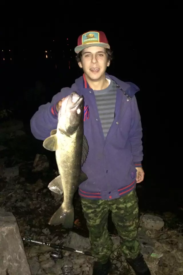 Walleye