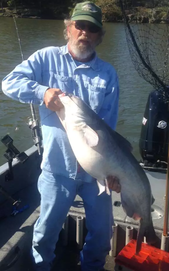 Fort Loudoun Lake TN.
