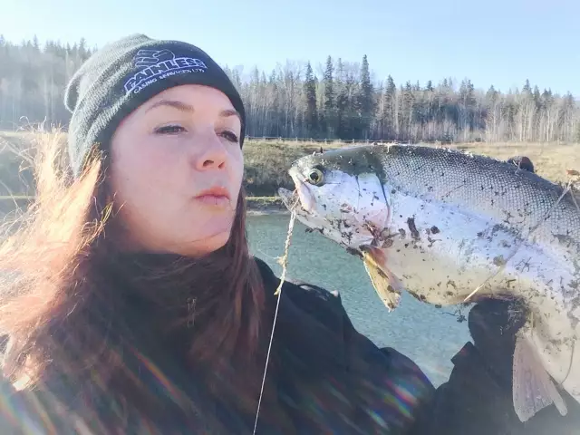 Rainbow Trout  Central Alberta.