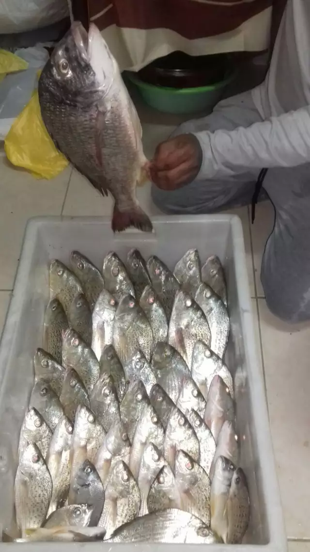Catch of the day.