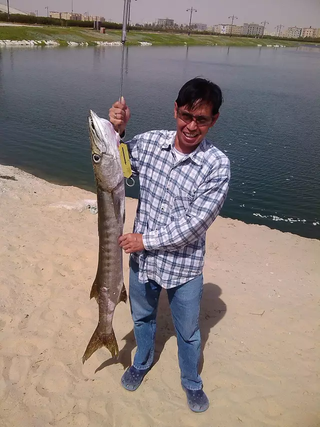 7kg baracuda catch in Al-Khobar Saudi Arabia