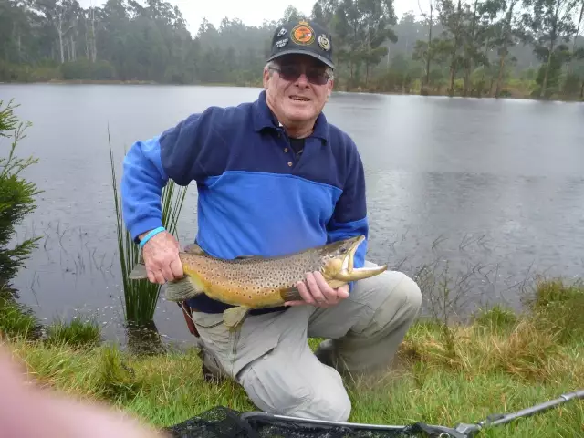 First trout on dry fly.