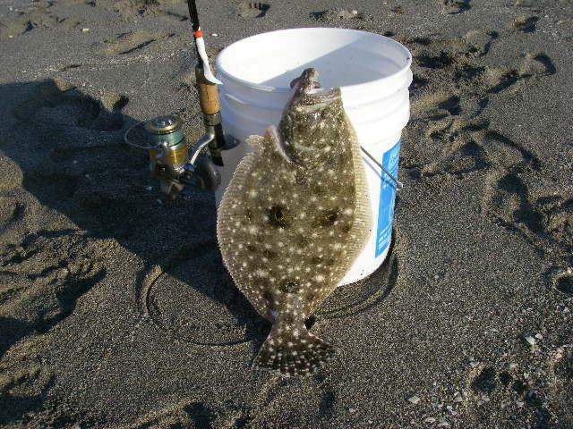 How To Net Flounder - The Fishing Website