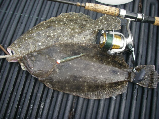 How To Net Flounder - The Fishing Website