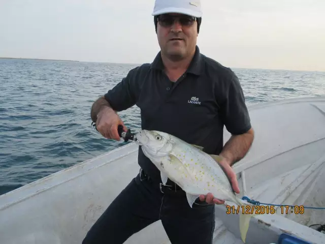 Trolling - Lavan - IRAN