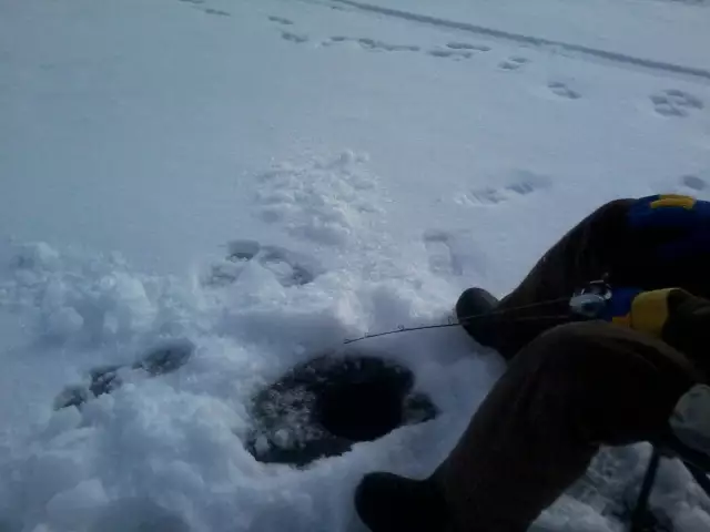 These are my husbands feet it was 34 degrees F we are 20 inches of ice .
