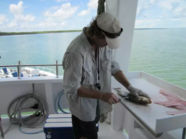 Filleting on the Cannon