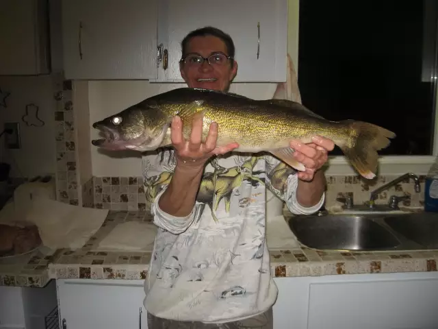 ice fishing  25 inch walleye