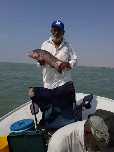 Red Snapper Caught at Miani Hor, Balochistan Province,  Pakistan