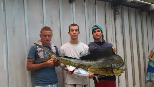 34lb mahi on light tackle