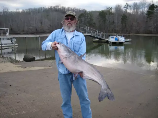 Catfish