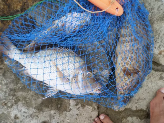 MARINA MALL BREAKWATER FISHING 08APRIL2016