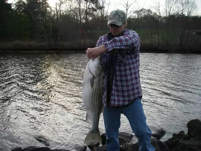 Striper