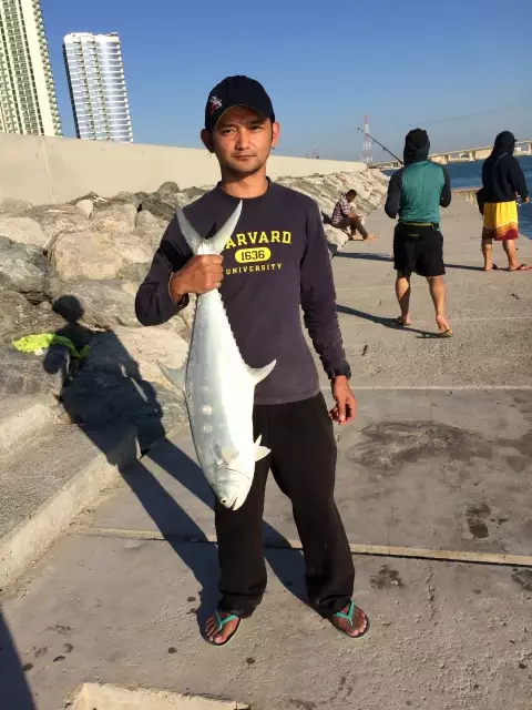 3.5 queen fish