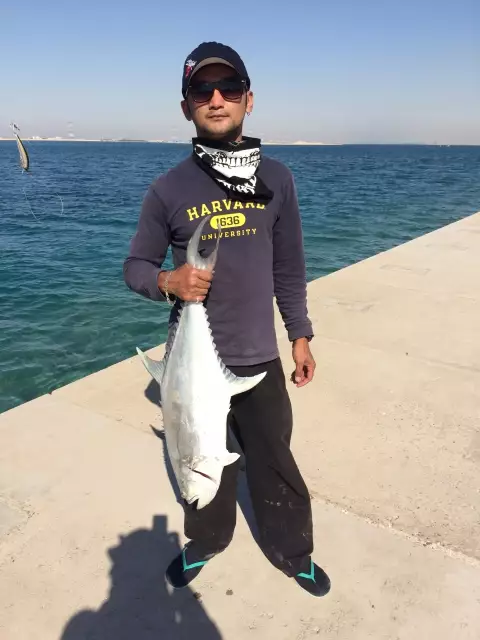4.8 kilo queenfish