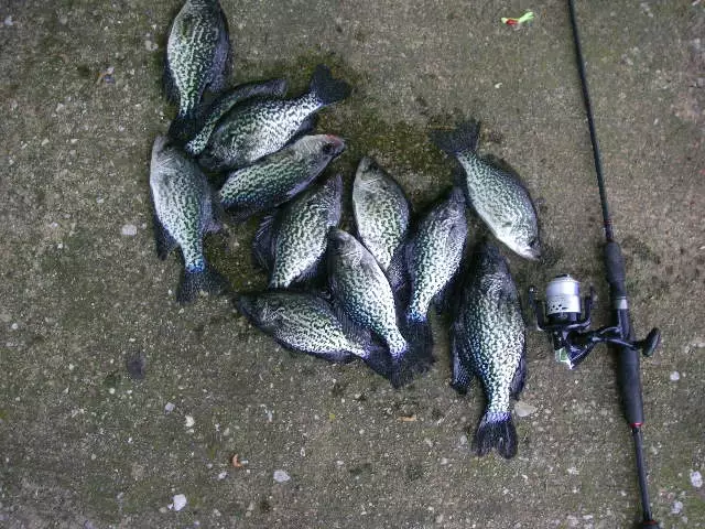 It was a 4 star day.