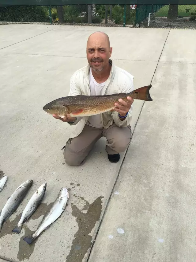 Not a bad day